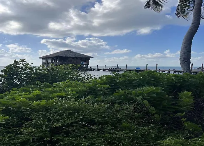 Residences At Barrier Reef 7b Oceanview 2 Bedroom By Floreo * San Pedro (Ambergris Caye)