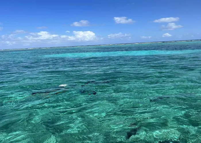 Residences At Barrier Reef 7b Oceanview 2 Bedroom By Floreo San Pedro (Ambergris Caye)