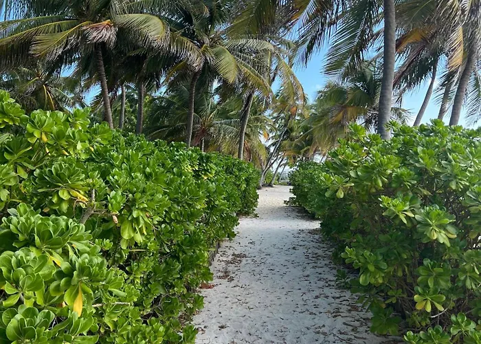 Residences At Barrier Reef 7b Oceanview 2 Bedroom By Floreo San Pedro (Ambergris Caye)